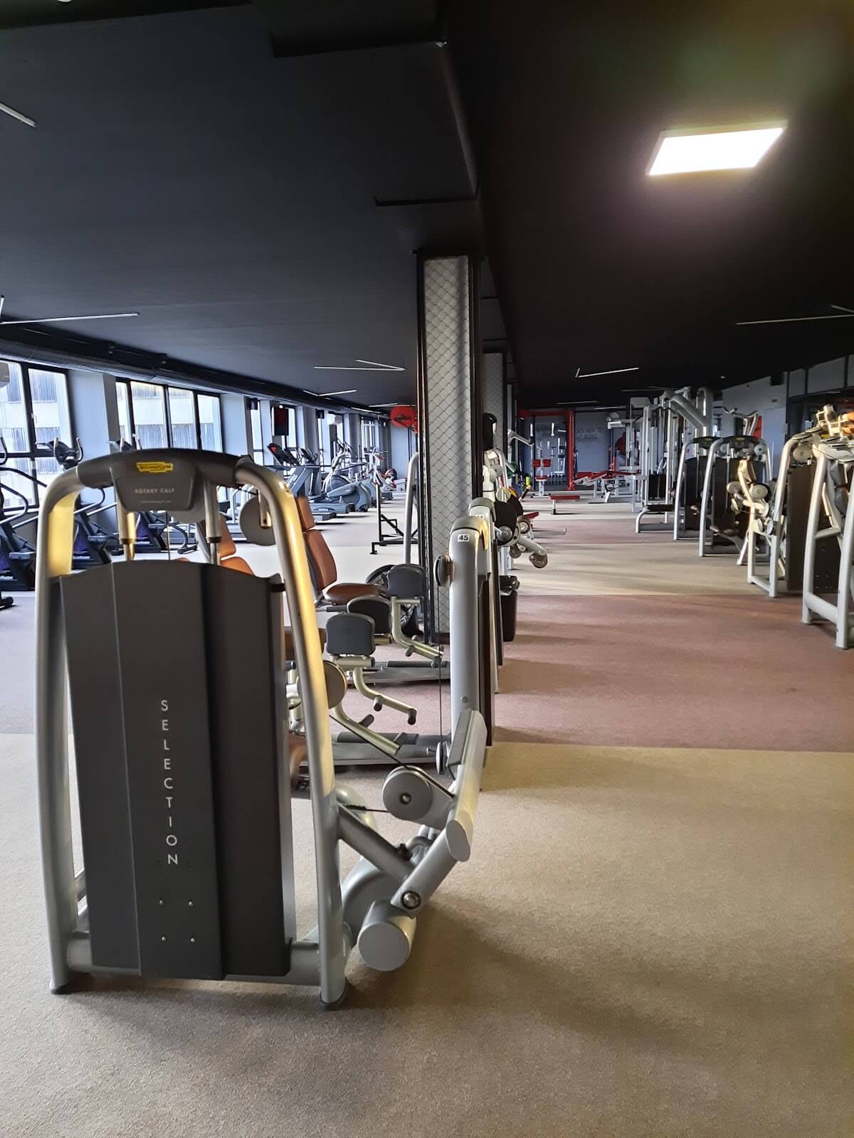 Gym gates — sporto klubas Utena