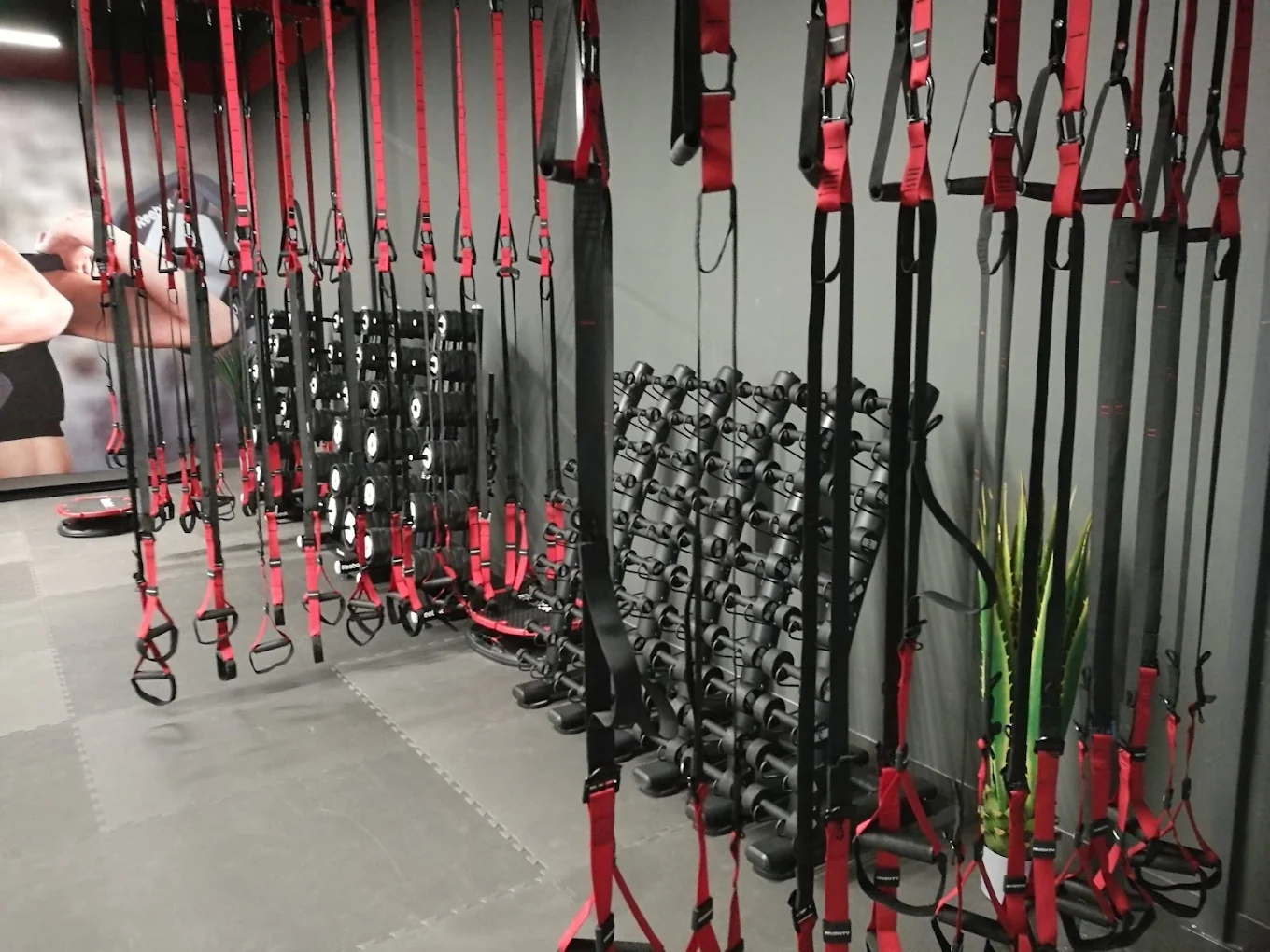 Gym plius nuotrauka 5
