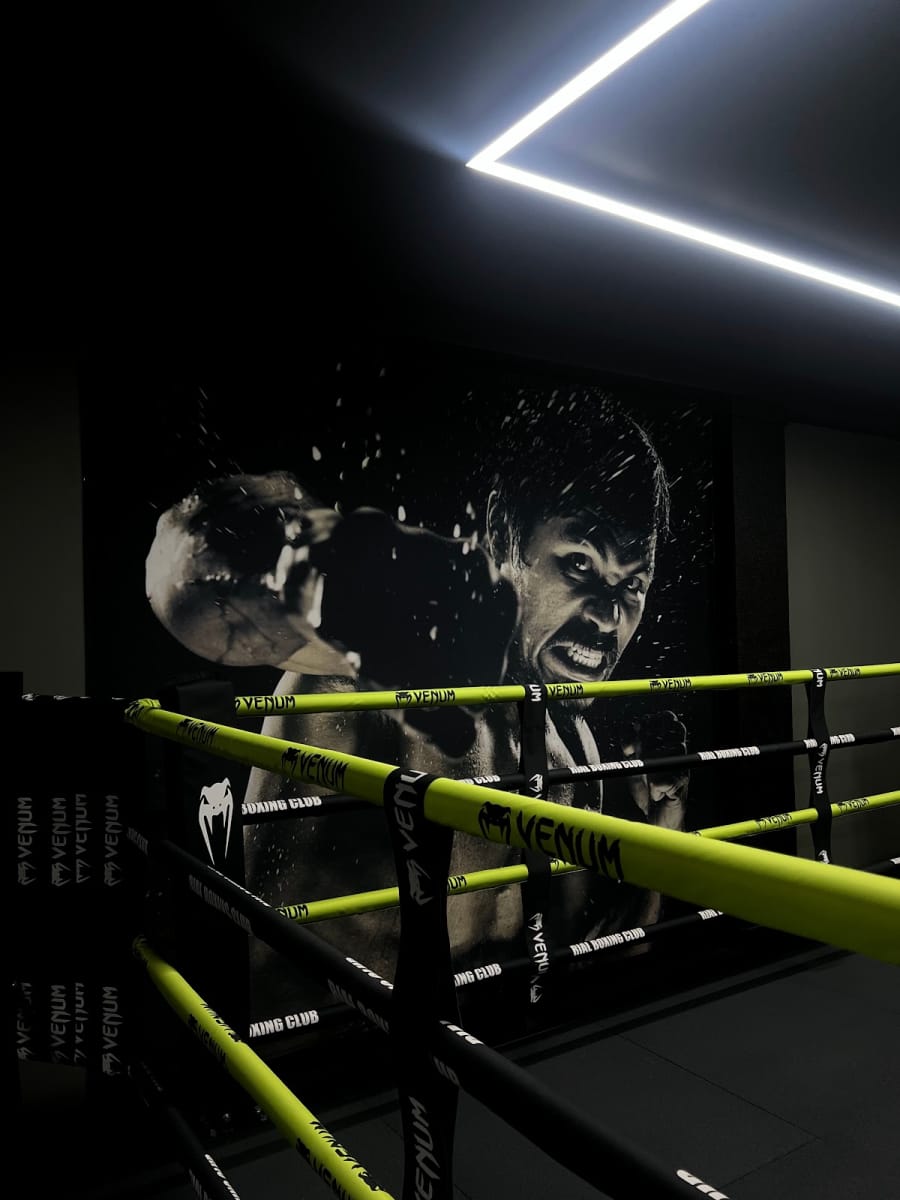 Rial Boxing Club — sporto klubas Vilnius