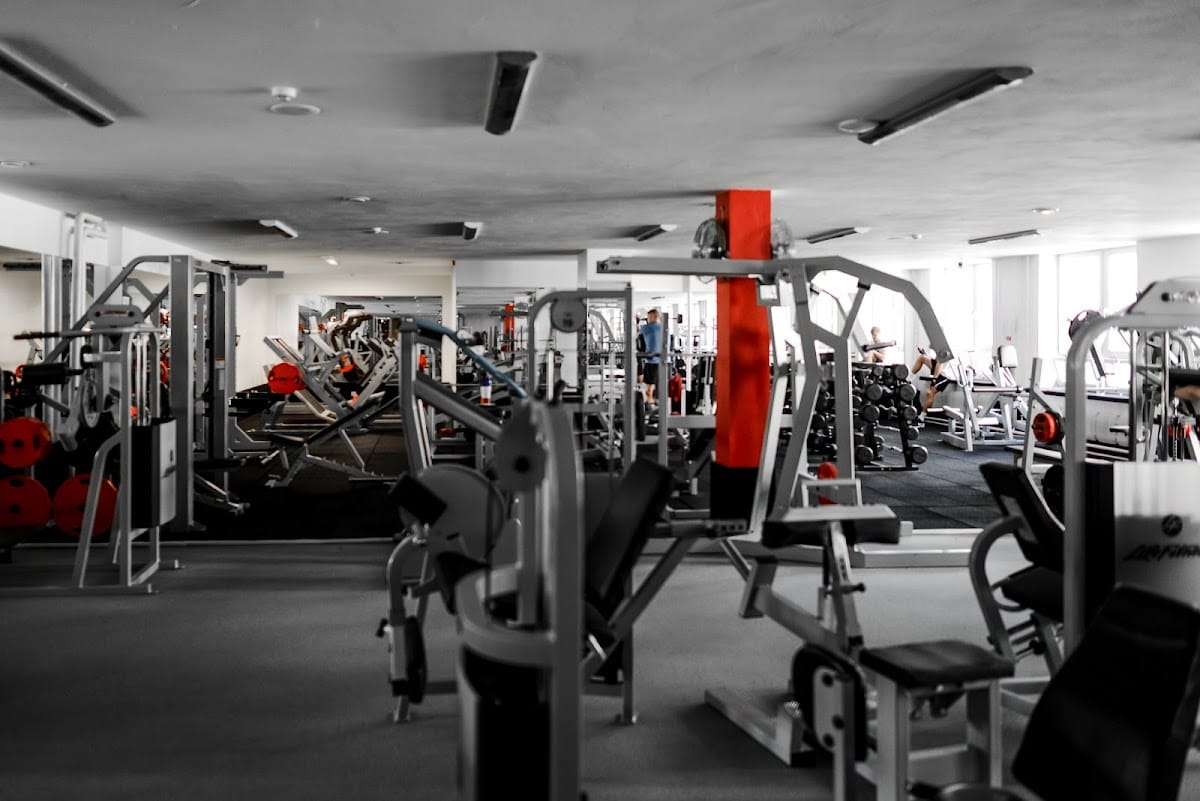 The Muscle Makers — sporto klubas Vilnius