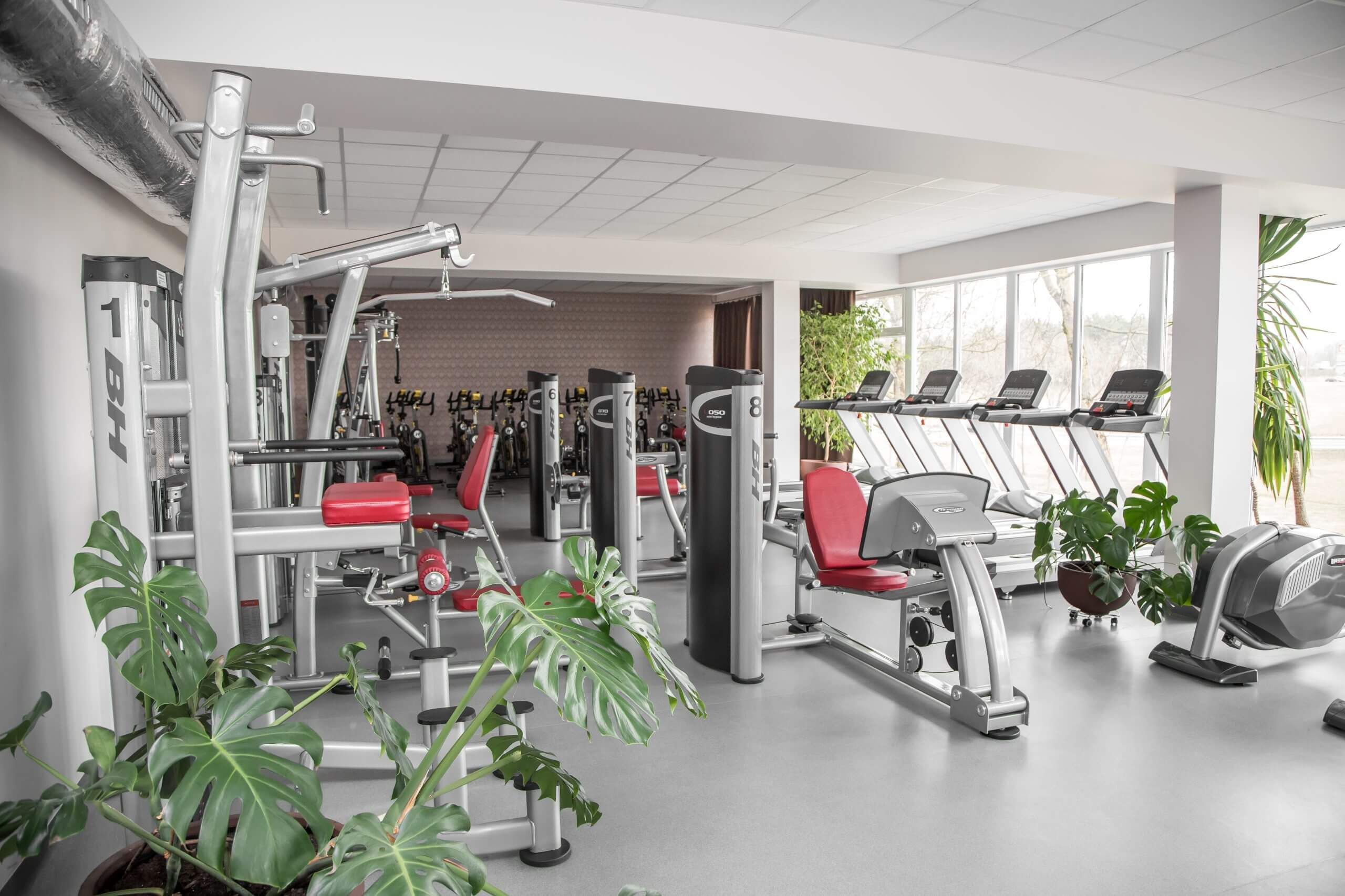 Figura Gym