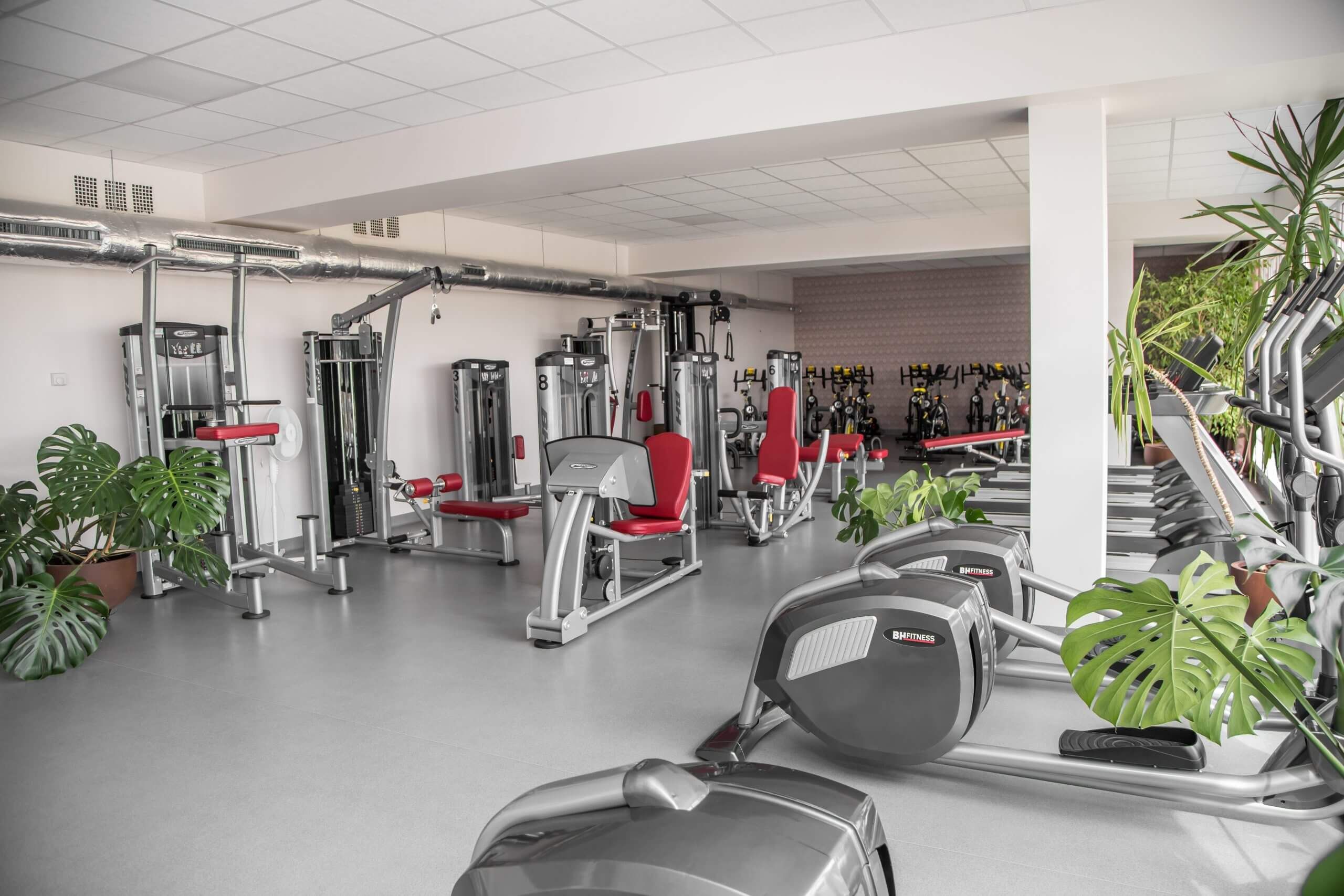 Figura Gym nuotrauka 2