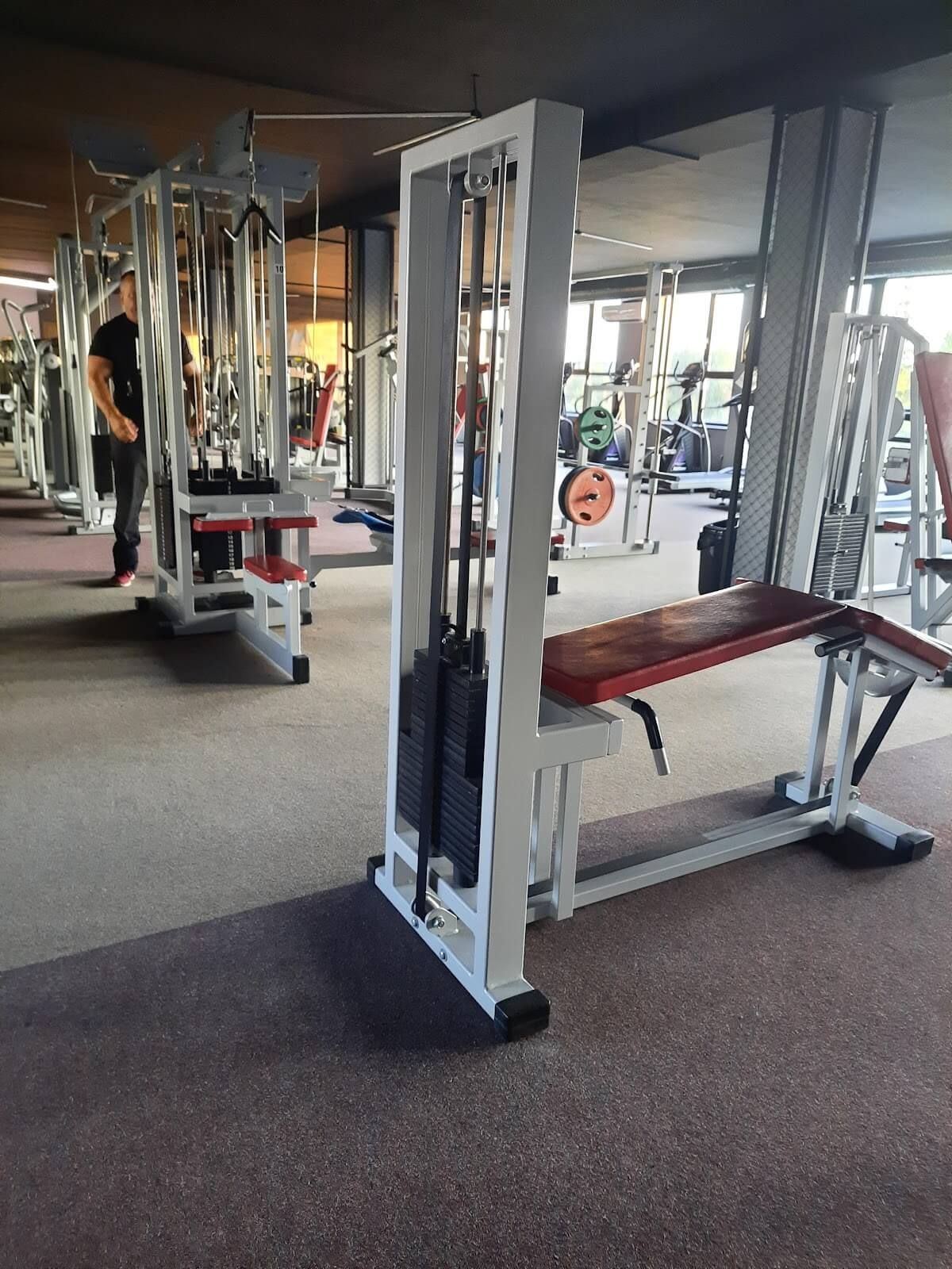 Gym gates nuotrauka 3