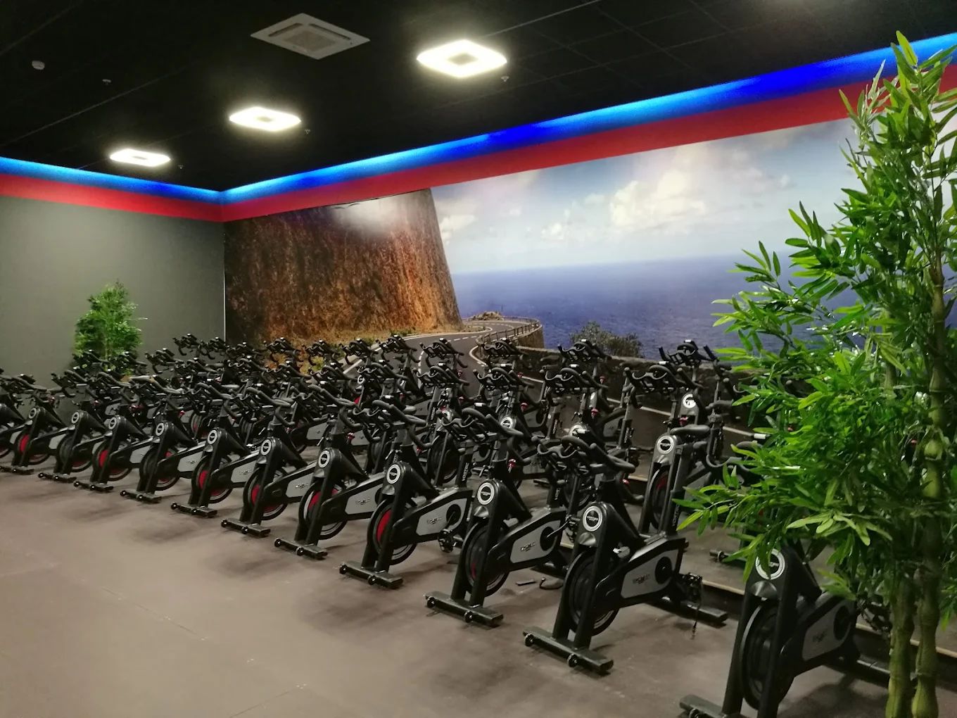 Gym plius nuotrauka 3