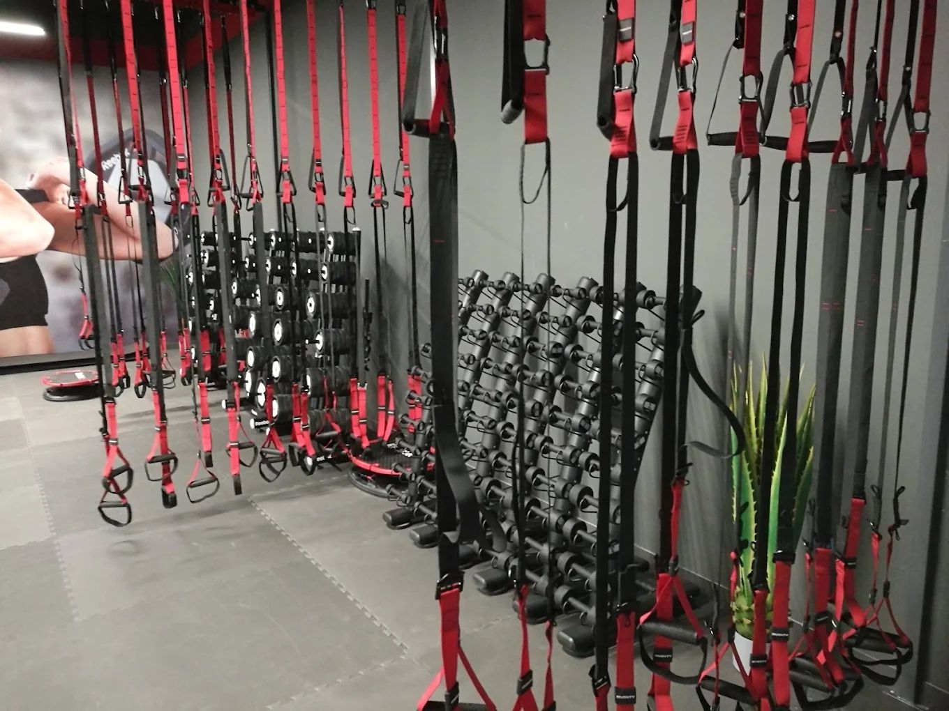Gym plius nuotrauka 5
