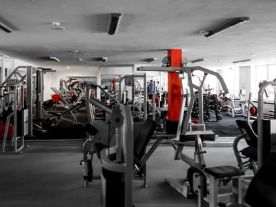 The Muscle Makers