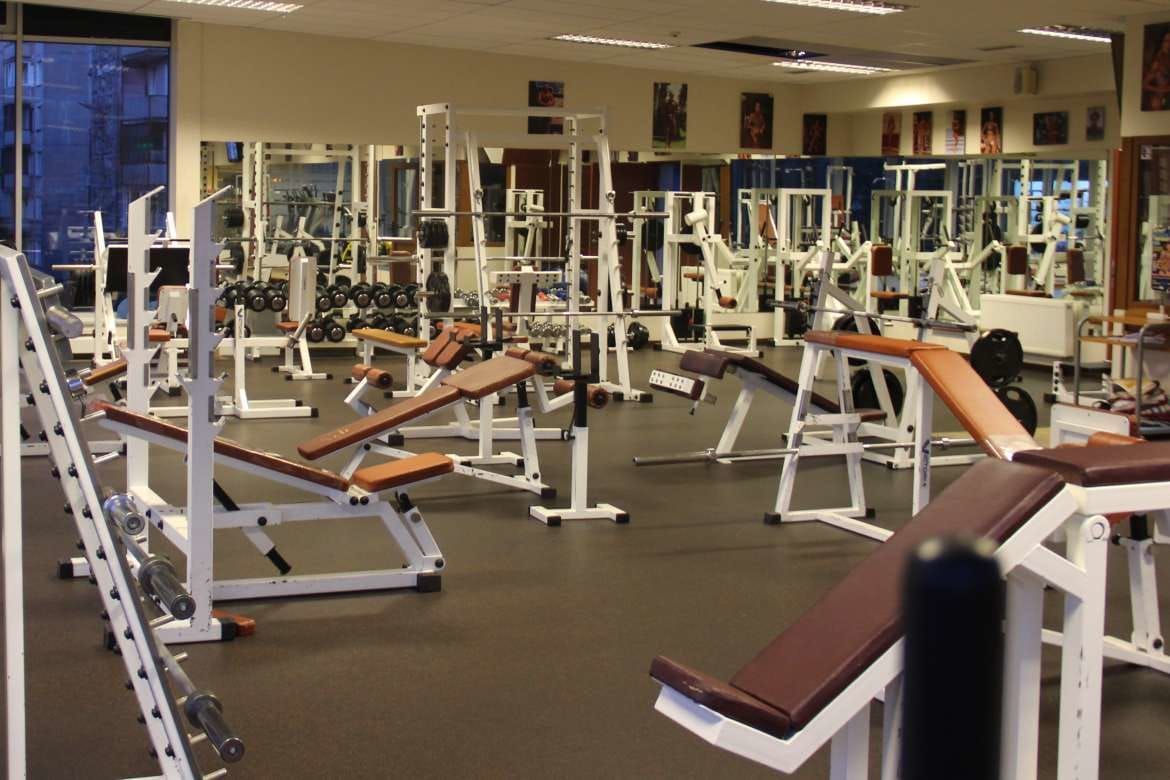 Minotaur sports club