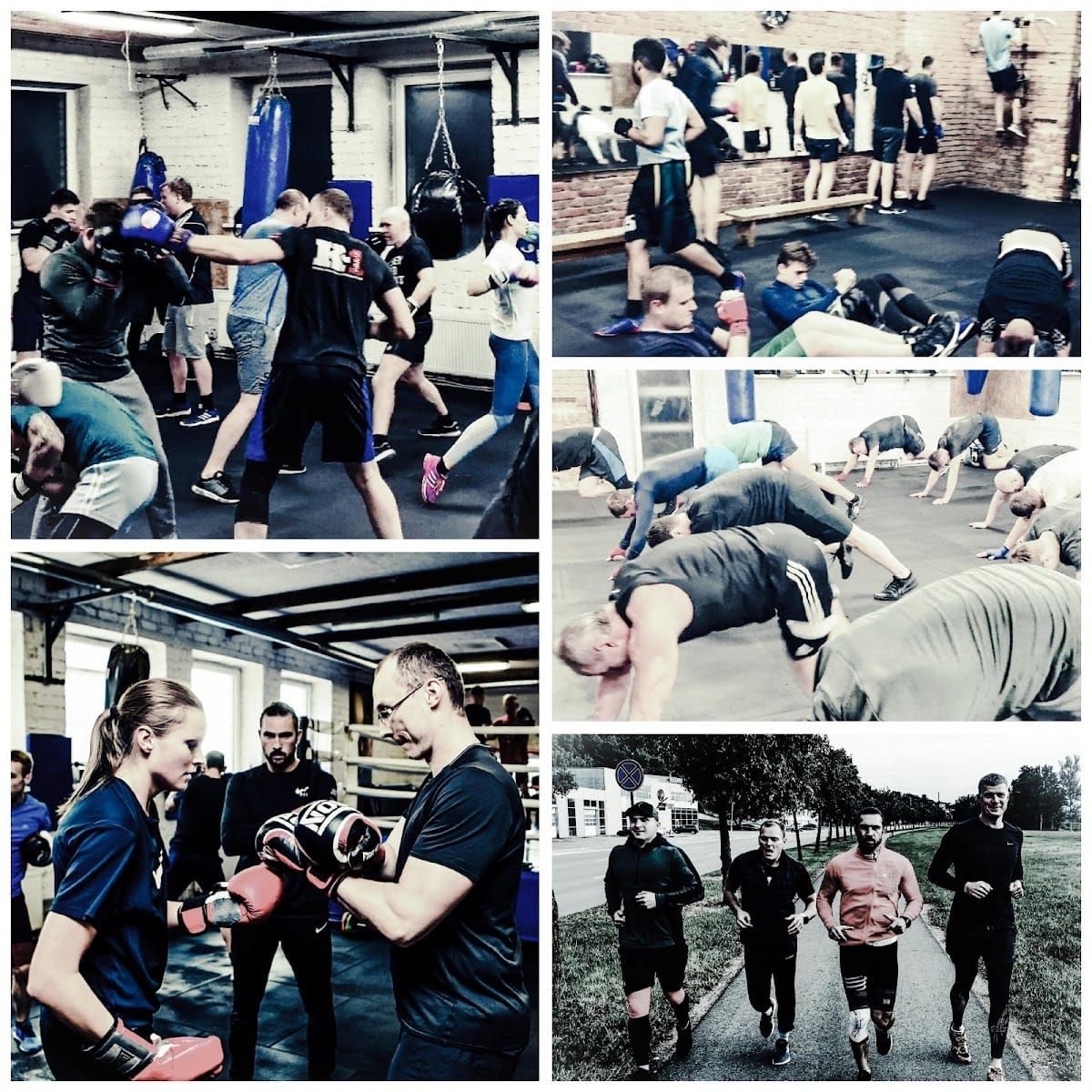 Daugirdas gym
