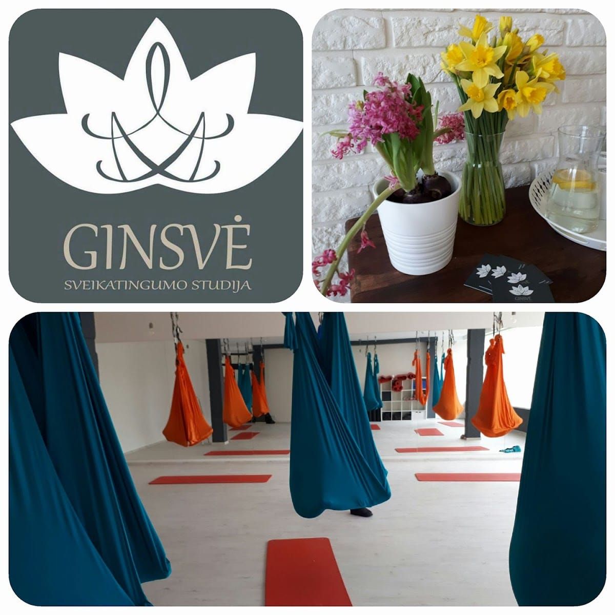 Ginsvė