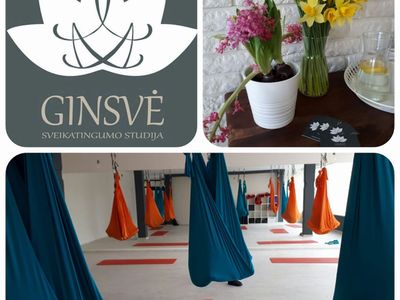 Ginsvė