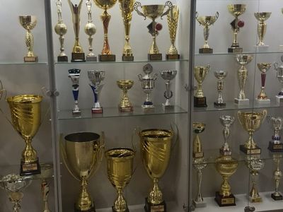 Beržų sporto salė
