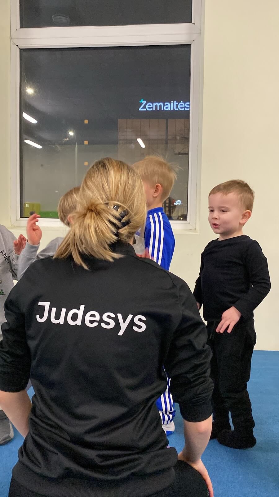Judesys Gimnastikos centras nuotrauka 3