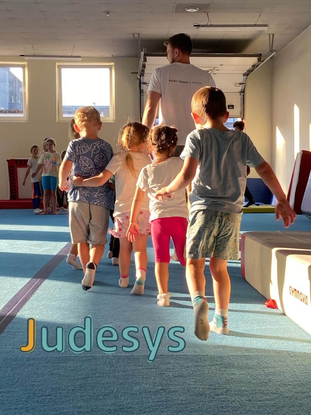 Judesys Gimnastikos centras nuotrauka 4